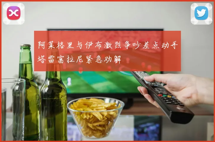 阿莱格里与伊布激烈争吵差点动手塔雷富拉尼紧急劝解